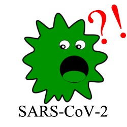 sars-cov-2